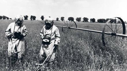 Trügerische Idylle. Männer in Schutzkleidung messen die Radioaktivität innerhalb der Sicherheitszone, die im Umkreis von 15 Kilometern um Tschernobyl errichtet wurde.