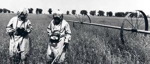 Trügerische Idylle. Männer in Schutzkleidung messen die Radioaktivität innerhalb der Sicherheitszone, die im Umkreis von 15 Kilometern um Tschernobyl errichtet wurde. 