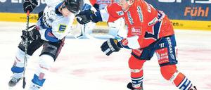 Ab an den Puck. Frank Hördler (rechts) und seine Kollegen von den Eisbären wollen endlich mal den ERC Ingolstadt besiegen.
