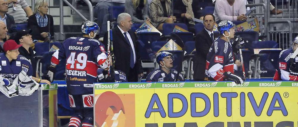 Normaler Betrieb. Die Bank der Eisbären.