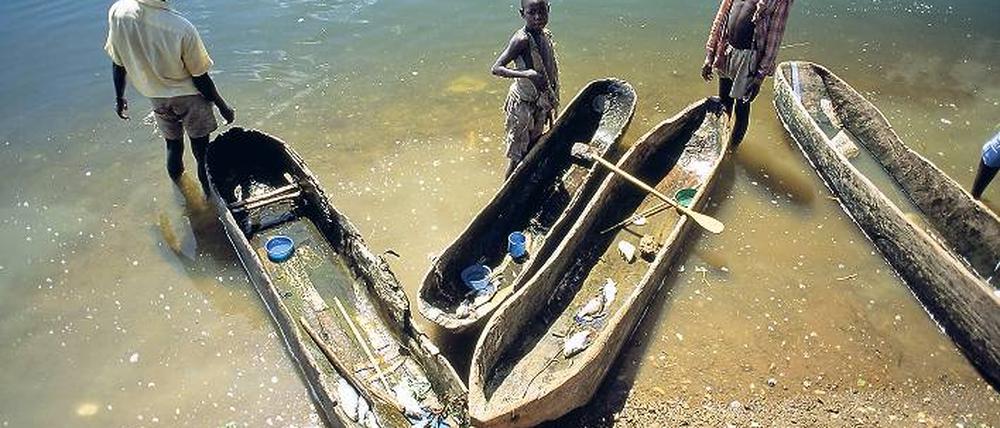 Für den kleinen Fang. Mit etwas größeren Nachen werden Touristen gern zu den Nilinseln gefahren. Foto: mauritius images