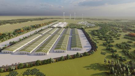 Noch in diesem Jahr soll auf dem ehemaligen Flugplatz bei Jänschwalde gebaut werden können.