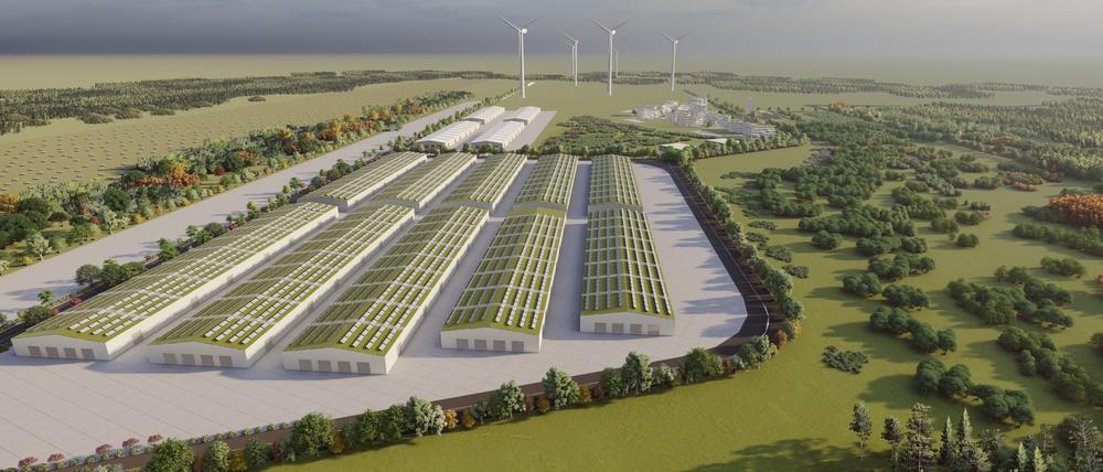 Noch in diesem Jahr soll auf dem ehemaligen Flugplatz bei Jänschwalde gebaut werden können.