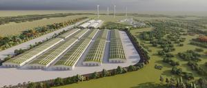 Noch in diesem Jahr soll auf dem ehemaligen Flugplatz bei Jänschwalde gebaut werden können.
