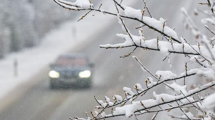 Ein Auto fährt hinter einem mit Schnee bedeckten Baum (Archivbild).