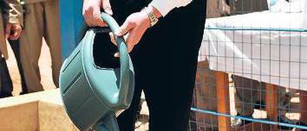 Zarte Pflänzchen. Dirk Niebel (hier im Sudan) will Geld bilateral vergeben. Foto: dapd