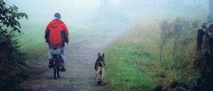 Herr und Hund. Für so manchen Halter sind die Vorschriften über Verwendung von Leine und Maulkorb für ihre Tiere mehr als nebulös. Eine neue Regelung soll jetzt Klarheit schaffen. 