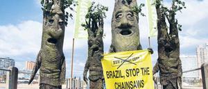 In Durban gab es Proteste gegen das geplante neue Waldgesetz in Brasilien. 