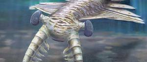 Schau mir in die Augen. So stellen sich die Paläontologen die kambrische Garnele mit ihren Facettenaugen vor. Foto: Katrina Kenny &amp; University of Adelaide