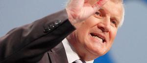 Verteilt zu Beginn des neuen Jahres Schelte: Horst Seehofer.