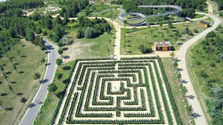 Zum Verlaufen. Irrgarten im Erlebnispark Teichland bei Cottbus. Foto: spreewaldinfo.de