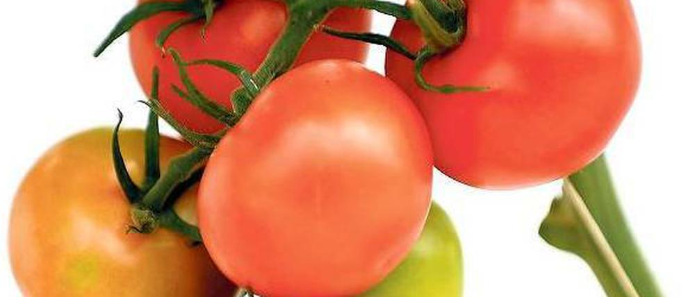 Strauchfrucht. Ihren Geschmack verdankt die Tomate einem Aromamix.