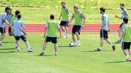 Im Zentrum. Fernando Torres (Mitte) ist von Beruf Mittelstürmer. Gegen Irland könnte Spaniens Trainer Vicente del Bosque erneut auf einen gelernten Angreifer verzichten. 