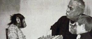 Auf Augenhöhe. Richard Lynch Garner mit Schimpansin „Susie“ um 1911. Der Exzentriker und Rassist wollte den Sprachcode der Primaten knacken – und beweisen, dass es auch unter den Menschen verschiedene Spezies gibt.