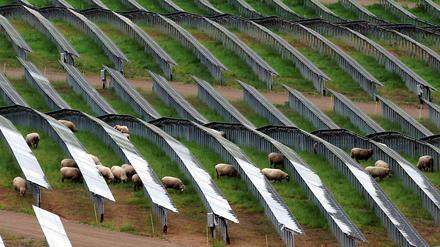 Die ständigen Debatten über eine mögliche Abschaffung des Erneuerbaren-Energien-Gesetzes dürften vor allem eine Wirkung haben: Der Ausbau wird sich beschleunigen. Wer jetzt nicht investiert, kann nicht einschätzen, wie sich die Bedingungen für den Bau von Solarparks wie hier bei Trier oder Windparks verändern. 