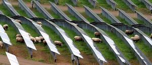 Die ständigen Debatten über eine mögliche Abschaffung des Erneuerbaren-Energien-Gesetzes dürften vor allem eine Wirkung haben: Der Ausbau wird sich beschleunigen. Wer jetzt nicht investiert, kann nicht einschätzen, wie sich die Bedingungen für den Bau von Solarparks wie hier bei Trier oder Windparks verändern. 