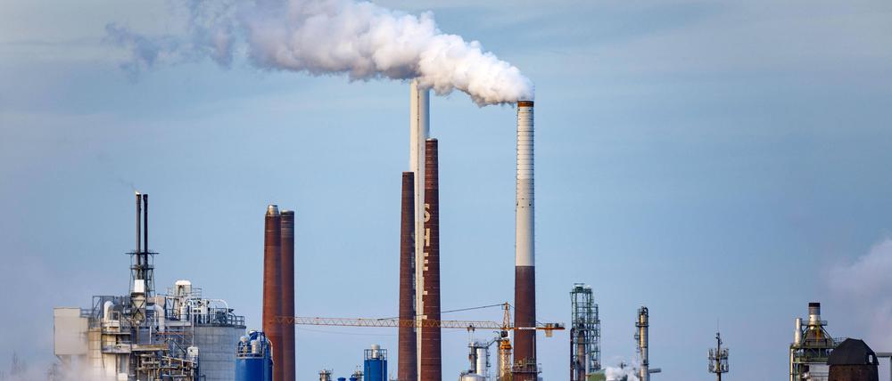 Problematische Zeitgenossen. Schornsteine an der Shell Rheinland Raffinerie im Kölner Stadtteil Godorf.