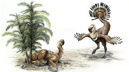 Schau her! Künstlerische Darstellung der Balz eines Oviraptoren-Pärchens. 
