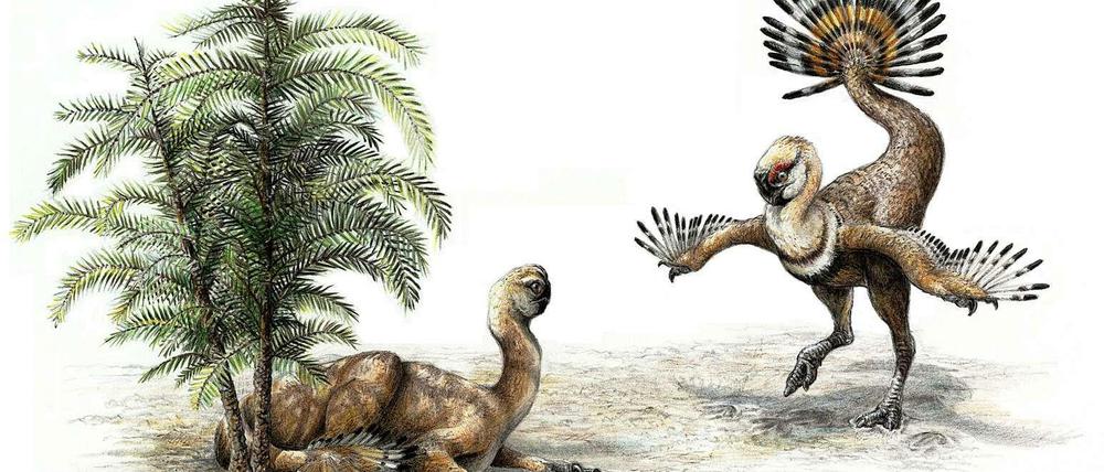 Schau her! Künstlerische Darstellung der Balz eines Oviraptoren-Pärchens. 