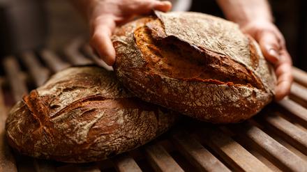 Bio Brot Bäckerei