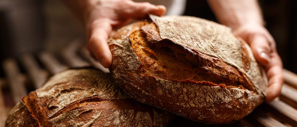 Bio Brot Bäckerei