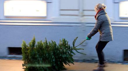 Und ab damit: Tanne "to go" - naja, fast.