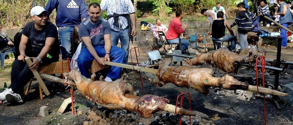 Profigriller grillen gleich das ganze Lamm