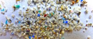 Mikroplastikkügelchen auf einem Blatt Papier. Die kleinen Plastikteilchen mit einer Größe unter fünf Millimetern verschmutzen die Meere und werden oft von Fischen und anderen Meeresbewohnern aufgenommen.