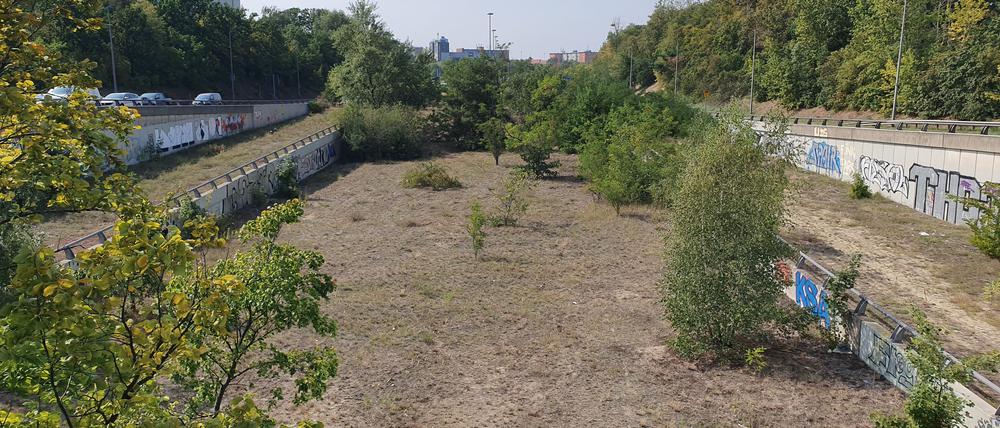 Freigehalten für die Westtangente ist diese Fläche am Kreuz Schönberg.