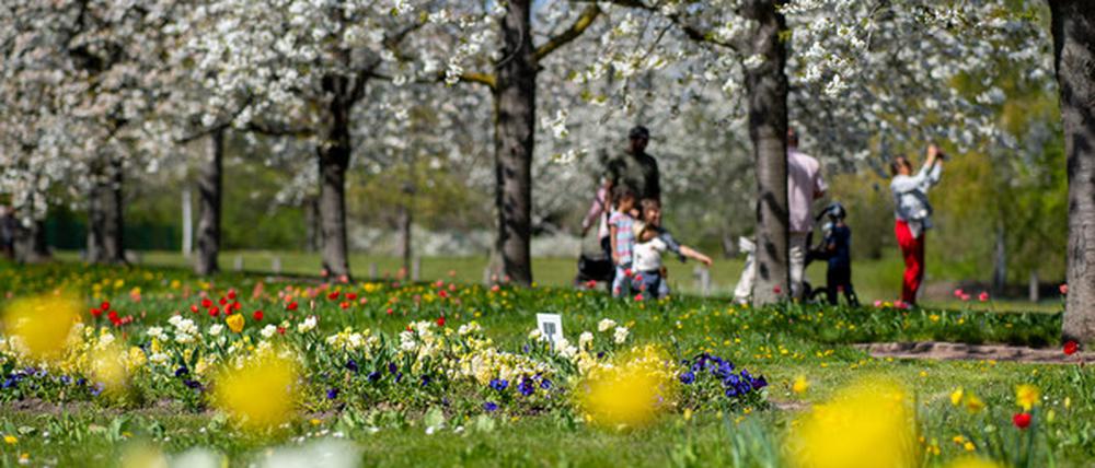 Im Britzer Garten können Kinder in den Ferien eine Rallye machen.