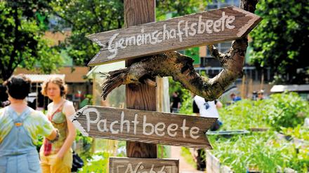 Seinen alten Standort an der Ruheplatzstraße musste das „Himmelbeet“ aufgeben.