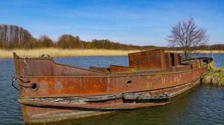 Das Wrack des Lastkahns „Hedwig“ von 1903 an einem Arm der Spree bei Fürstenwalde.