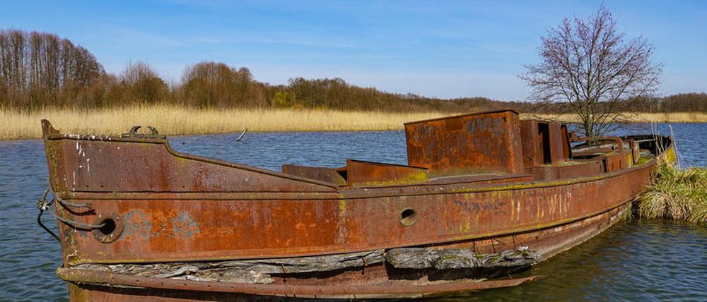 Das Wrack des Lastkahns „Hedwig“ von 1903 an einem Arm der Spree bei Fürstenwalde.