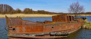 Das Wrack des Lastkahns „Hedwig“ von 1903 an einem Arm der Spree bei Fürstenwalde.