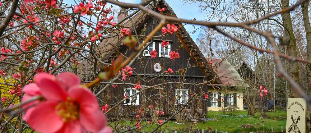 Frühling bei den Sorben. Nicht überall ist es so idyllisch wie im alten Spreewalddorf Lehde. Doch viele Besucher schätzen es, dass die Region seit Jahren eher auf sanften Tourismus setzt. Bei schönem Wetter dürfte es gerade im Spreewald über Ostern allerdings etwas belebter werden.