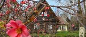 Frühling bei den Sorben. Nicht überall ist es so idyllisch wie im alten Spreewalddorf Lehde. Doch viele Besucher schätzen es, dass die Region seit Jahren eher auf sanften Tourismus setzt. Bei schönem Wetter dürfte es gerade im Spreewald über Ostern allerdings etwas belebter werden. 