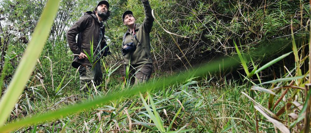 Ihr Arbeitsplatz ist die Natur: Frank Schneider und Mira Langrock sind Ranger im Auftrag Berlins.