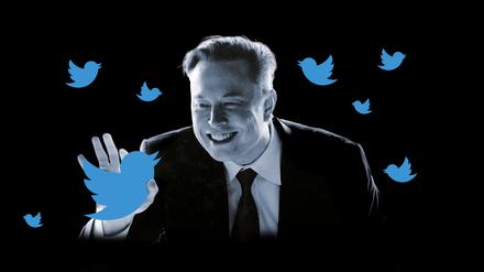 Mit dem Deal für den Kauf von Twitter hat Elon Musk wieder einmal für Furore gesorgt.