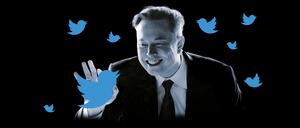 Mit dem Deal für den Kauf von Twitter hat Elon Musk wieder einmal für Furore gesorgt.