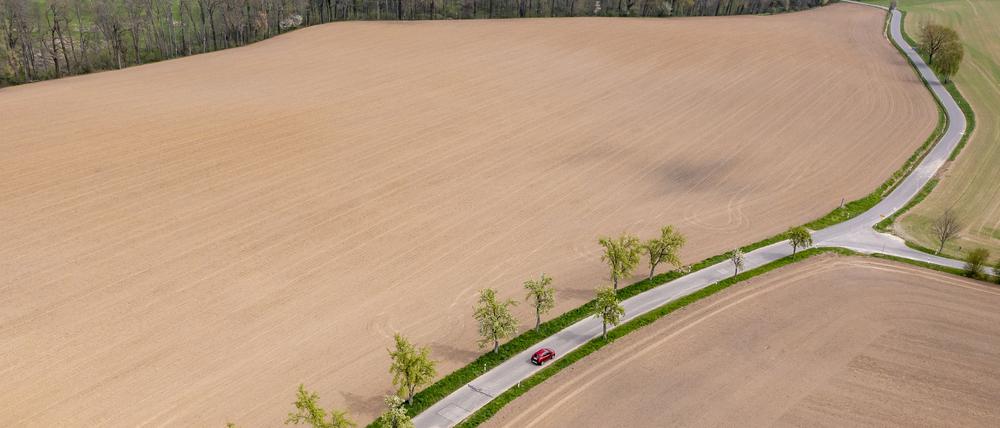 Die sehr durchlässigen Böden im Osten halten Feuchtigkeit nur schlecht fest und die Vegetation leidet, wenn dann auch noch der Regen fehlt. Hier Felder bei Grimma in Sachsen.