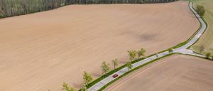 Die sehr durchlässigen Böden im Osten halten Feuchtigkeit nur schlecht fest und die Vegetation leidet, wenn dann auch noch der Regen fehlt. Hier Felder bei Grimma in Sachsen.