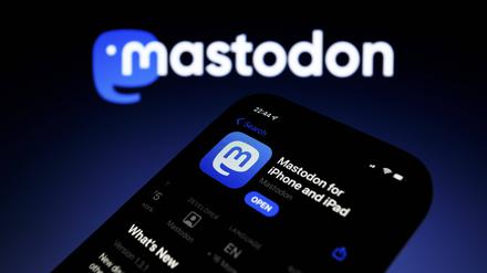 Dezentral und selbst organisiert: Mastodon wird als Alternative zu Twitter gehandelt.