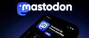 Dezentral und selbst organisiert: Mastodon wird als Alternative zu Twitter gehandelt.
