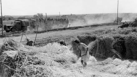Das Motiv aus der nationalsozialistischen Propaganda zeigt einheimische Frauen 1943 bei der Getreideernte in der Ukraine. Im Hintergrund stehen gefangen genommene Soldaten der Roten Armee auf einem Lastwagen der Wehrmacht.