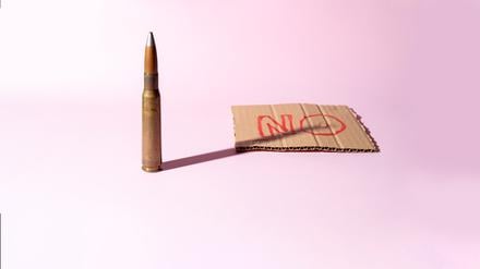 Waffenlieferung  ja oder nein?