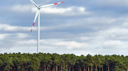 Anders als herkömmliche Anleihen verbinden Banken die Kreditaufnahme an den Finanzmärkten mit einem klar definierten Verwendungszweck: das Geld fließt etwa in Windparks oder energieeffizientes Bauen.