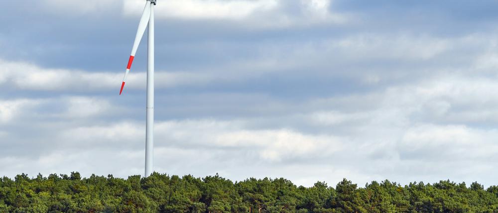 Anders als herkömmliche Anleihen verbinden Banken die Kreditaufnahme an den Finanzmärkten mit einem klar definierten Verwendungszweck: das Geld fließt etwa in Windparks oder energieeffizientes Bauen.