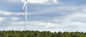 Anders als herkömmliche Anleihen verbinden Banken die Kreditaufnahme an den Finanzmärkten mit einem klar definierten Verwendungszweck: das Geld fließt etwa in Windparks oder energieeffizientes Bauen.