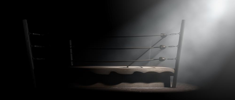 Exklusiver Ring. Homosexuelle SportlerInnen haben es bislang schwer im Boxen. Die Sportart gilt als ausgesprochen homofeindlich. Das soll sich ändern. In Berlin gibt es inzwischen mehrere Gruppen, die dagegen aufbegehren.