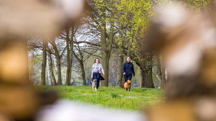 Nicole mit Labrador-Hündin Leila und Franziska mit Mischlingshündin Lori machen bei herrlichem Sonntagswetter einen Spaziergang durch den Spreewald bei Raddusch in der Nähe von Vetschau.